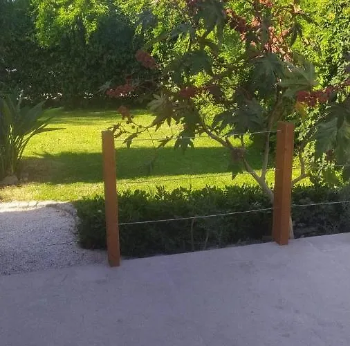 Bay Alykanas *