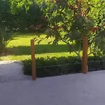 Bay Alykanas *